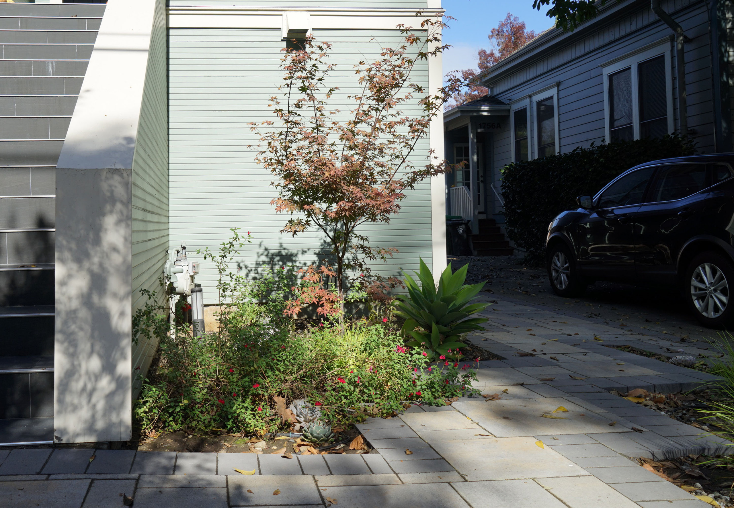 Accent Plants + Functional Paving