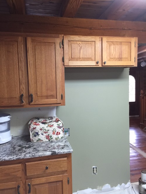 Need help picking out paint color for log cabin kitchen