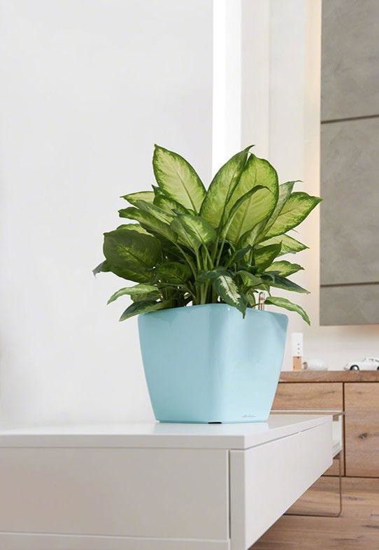 Классика дизайна