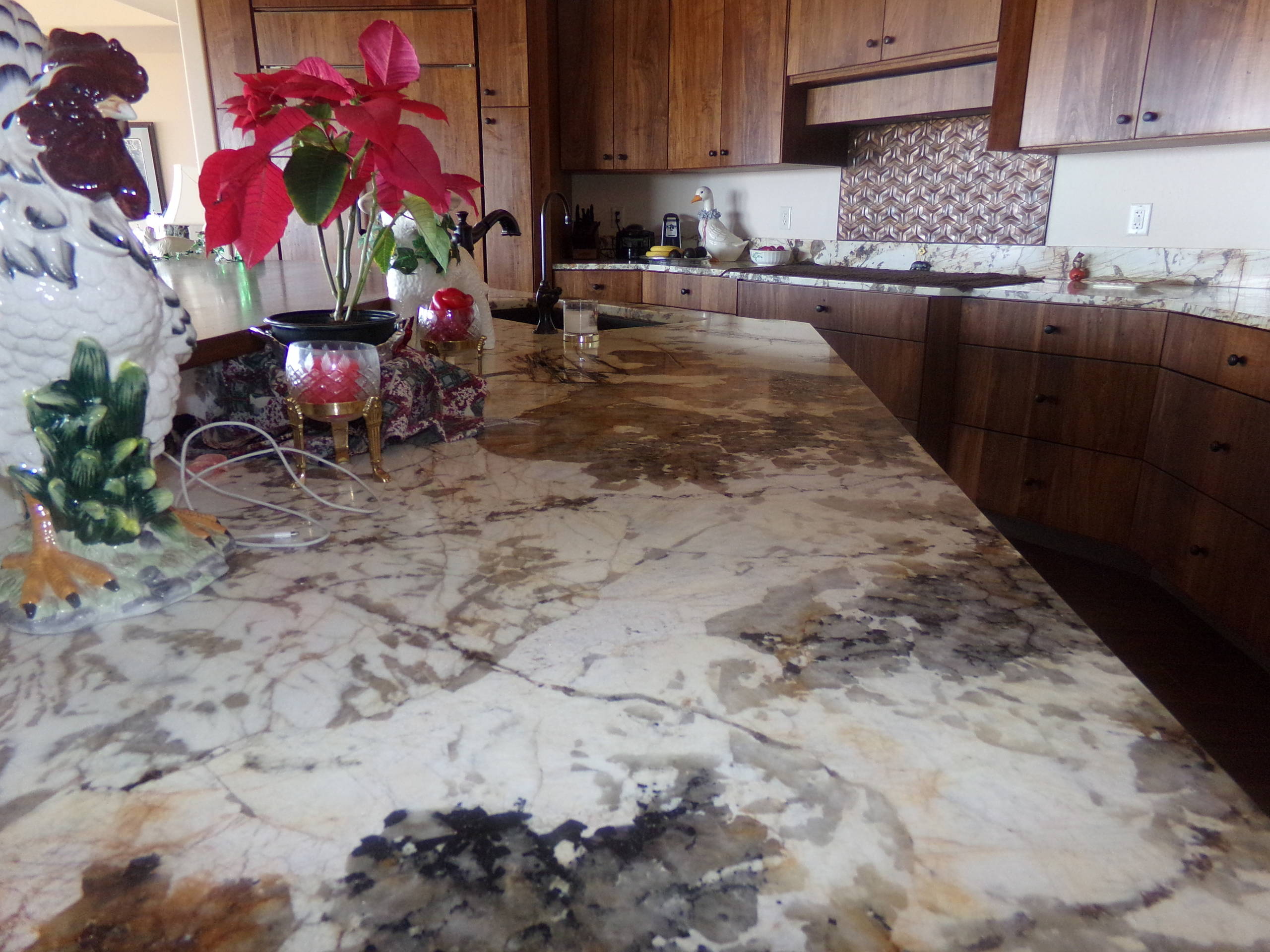 Contemporary Kitchen Project