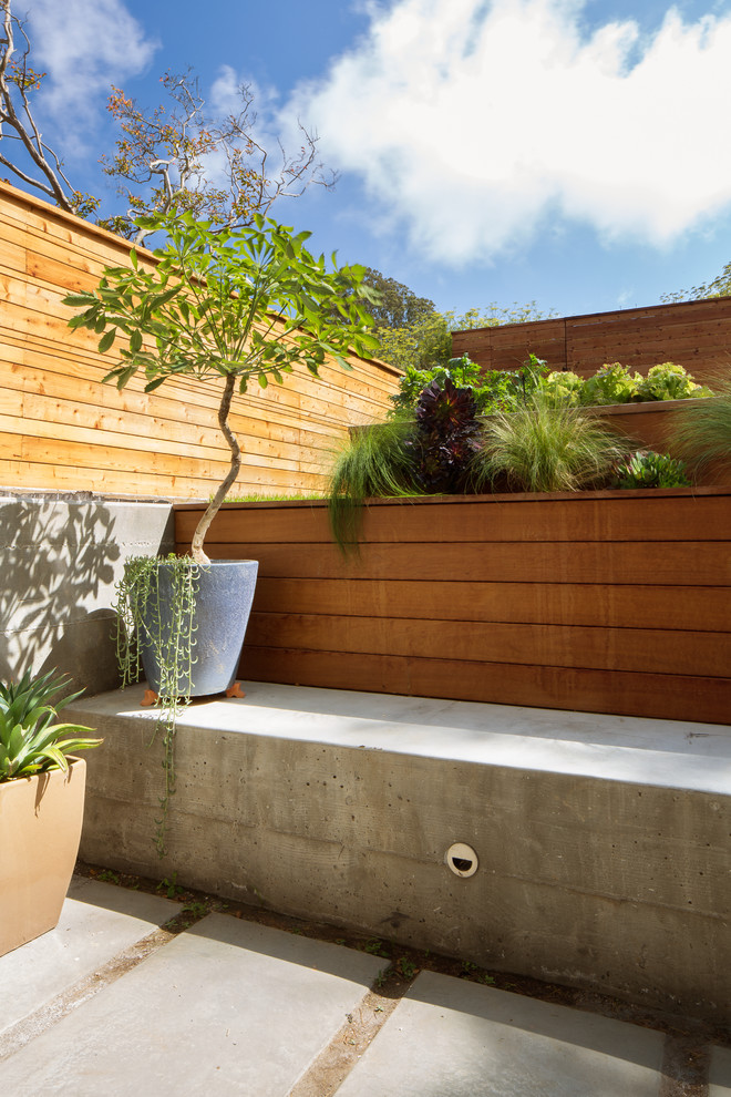 Design ideas for a modern landscaping in San Francisco.