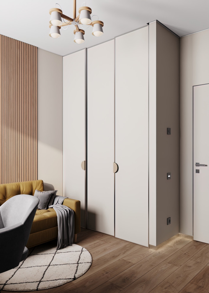 Современный сканди