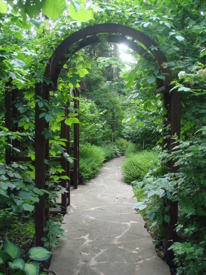 Рублево-Успенское шоссе. 55 соток.