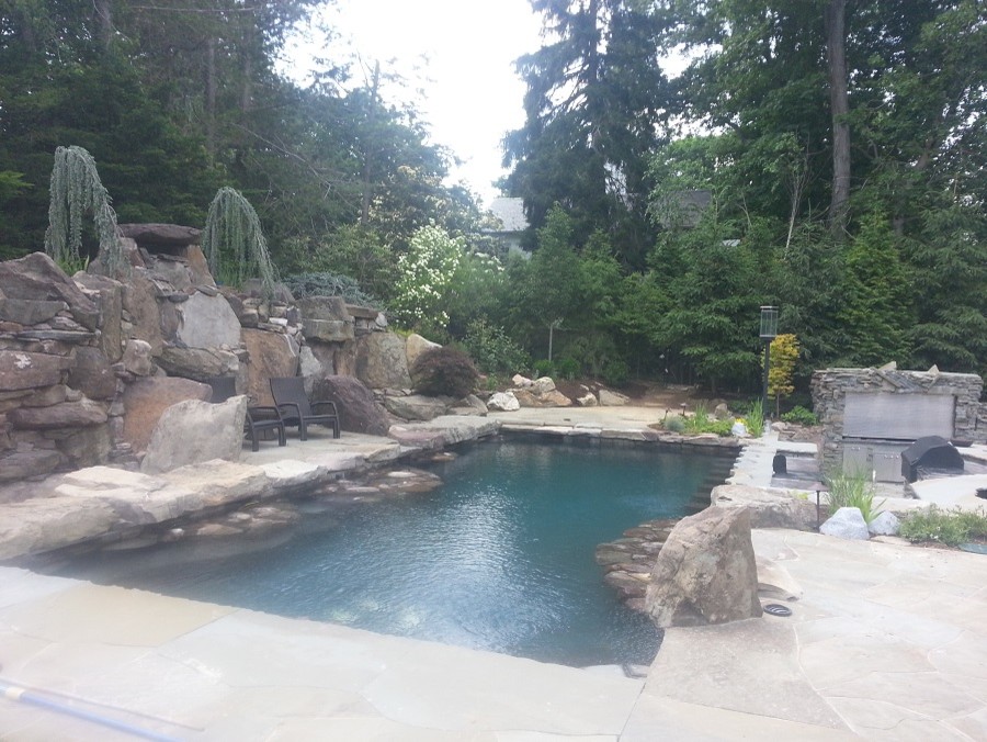 Design ideas for a large arts and crafts backyard custom-shaped natural pool in New York with natural stone pavers.