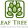 Big Leaf Tree Care