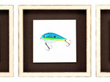 Fishing Lure Study 5