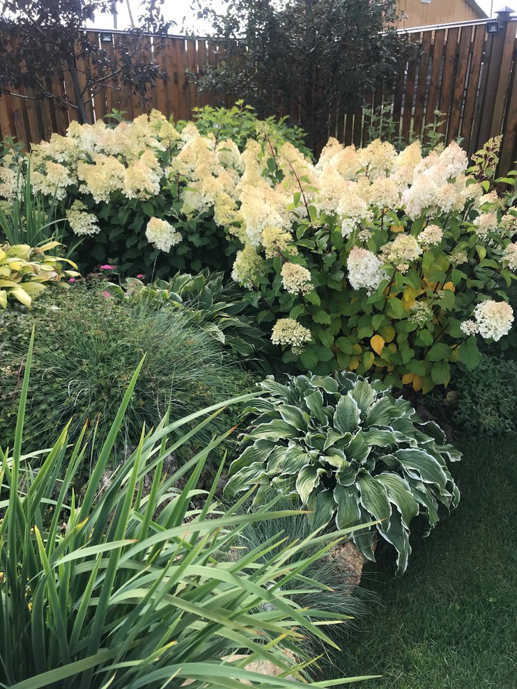 Садовый минимализм