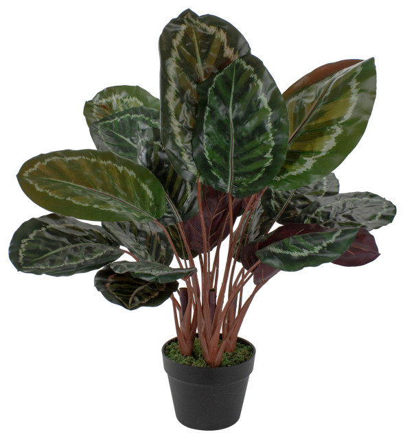 30" Artificial Large Green Leaf Calathea Potted Plant Modern