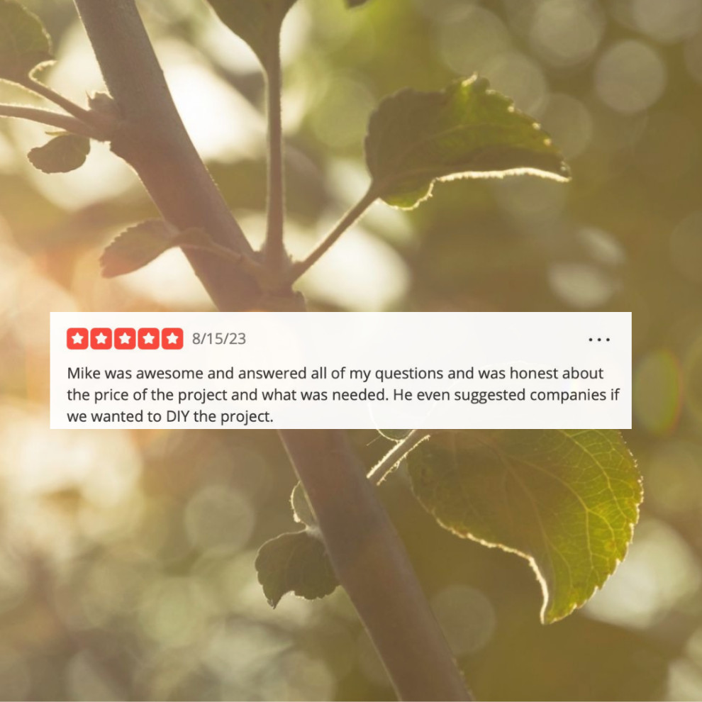 Reviews