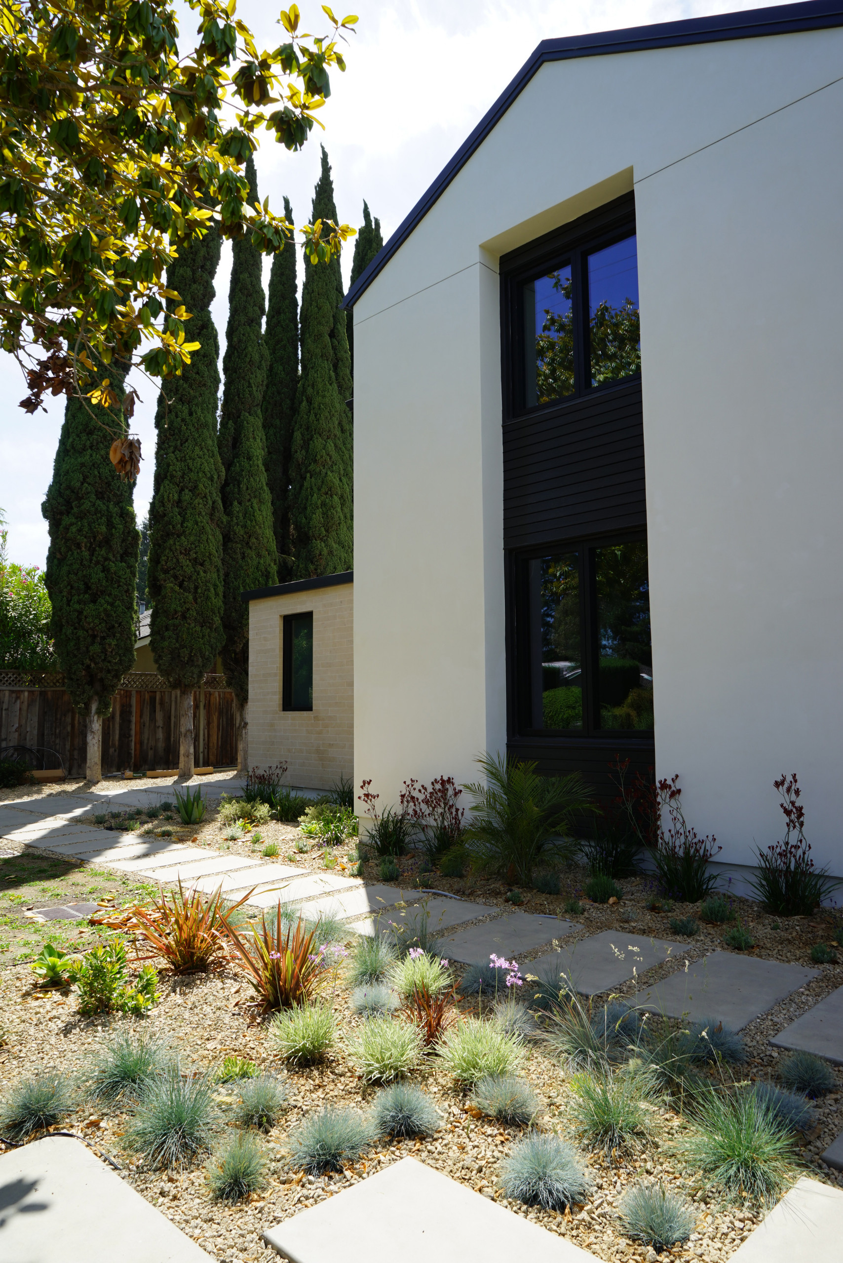 Palo Alto Mediterranean Landscape Front Yard