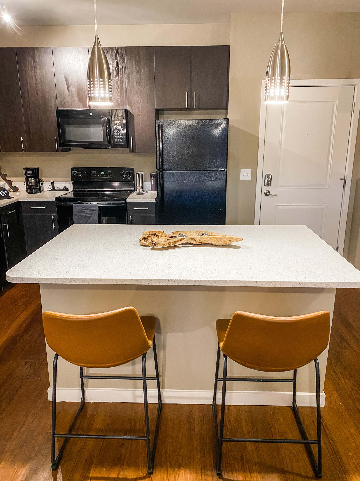 Mid Century Modern Apartment