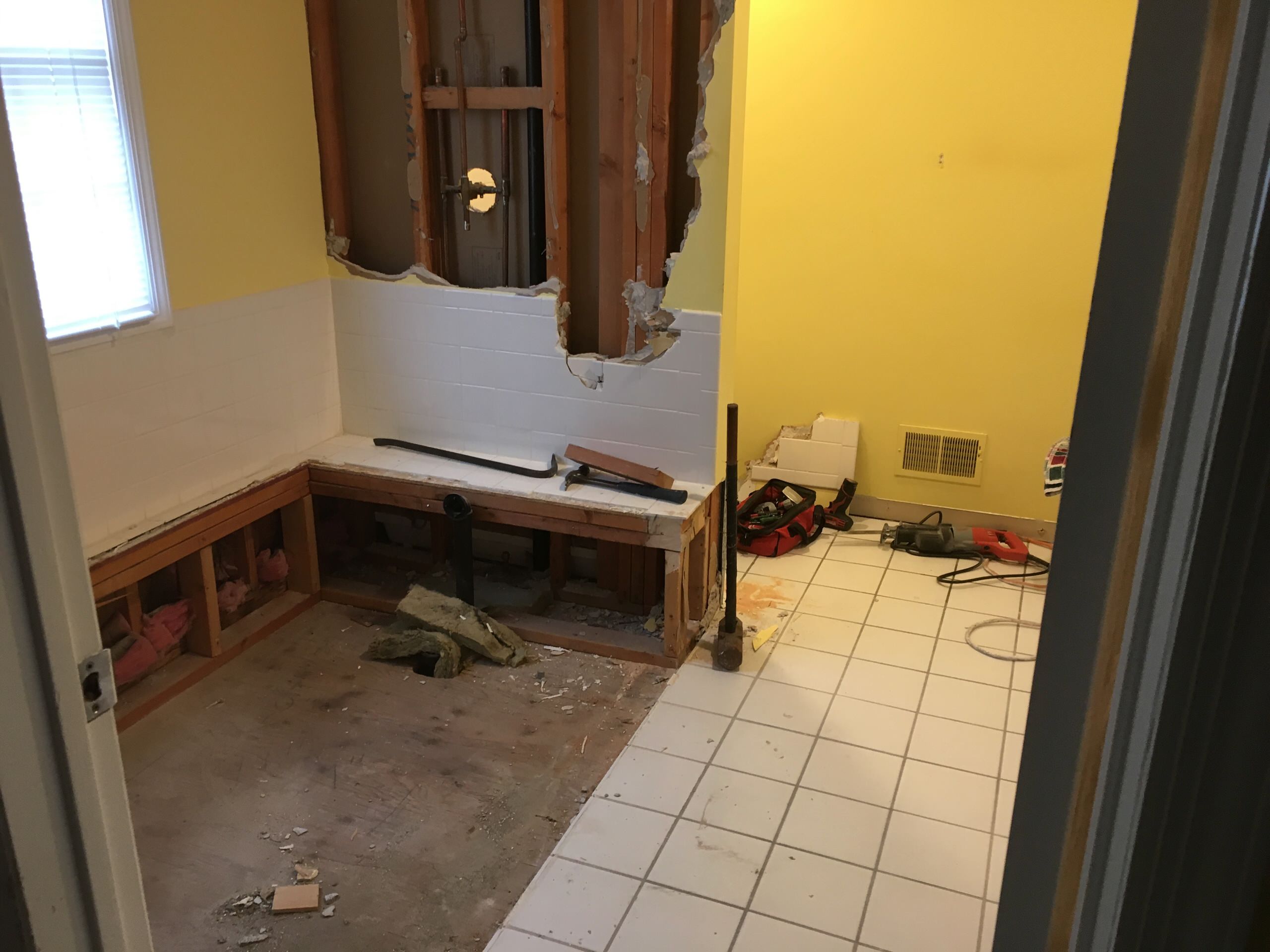 Master Bathroom Renovation