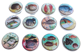 cabinet knobs drawer whimsical fish beach sea coastal piece