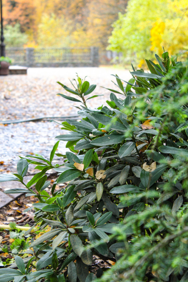 Генеральские дачи