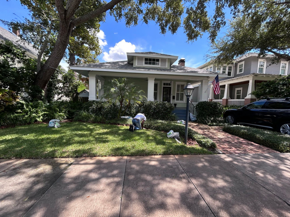 Front and Back Yard Landscape Renovation