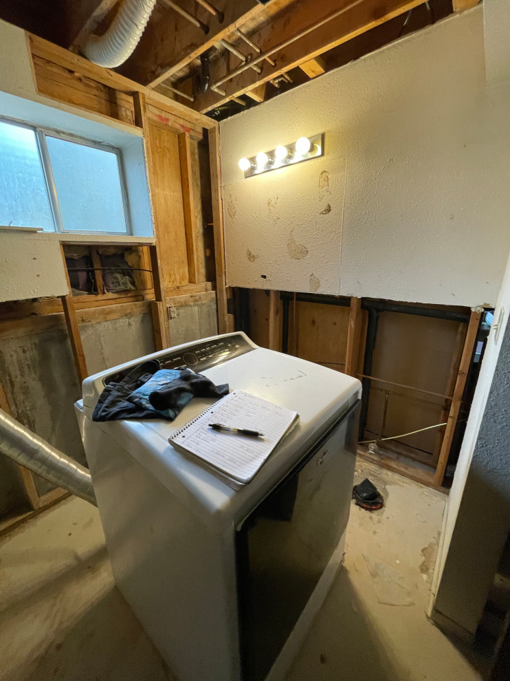 Basement/Bathroom remodel pictures