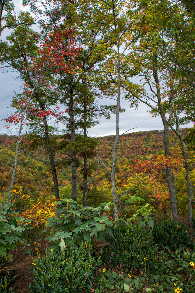 Mountain Estate | The Greenbrier Resort, West Virginia