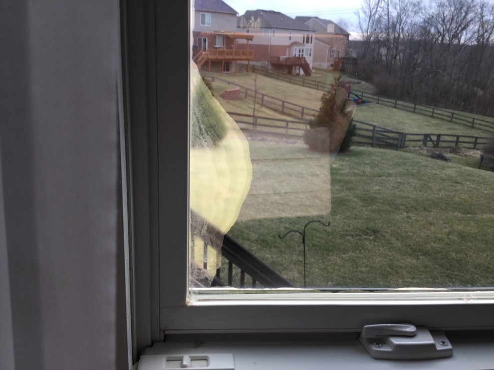Help with South Facing windows