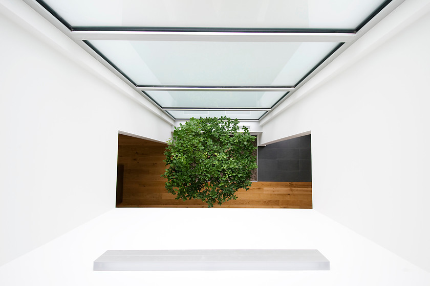 Inspiration for a contemporary home design remodel in Toronto