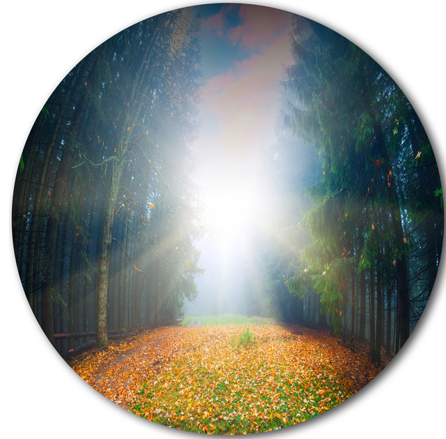 Rising Sun Over Colorful Forest Landscape Disc Metal Wall Art Contemporary Metal Wall Art By Designart