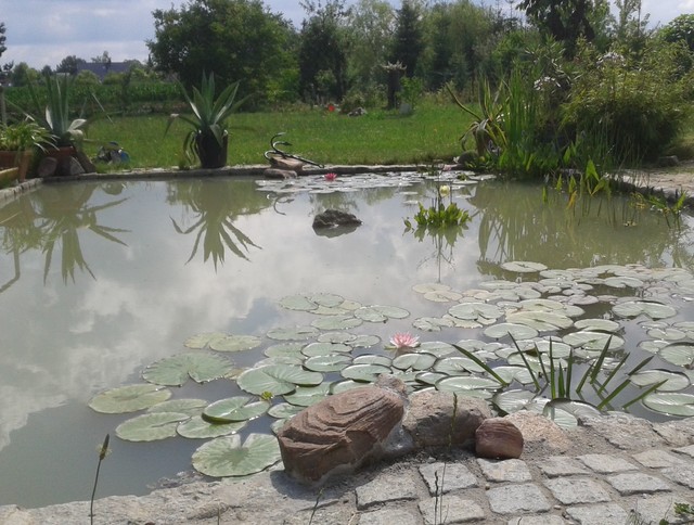 Teiche mediterranean-garden
