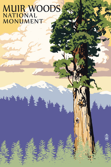 Muir Woods National Monument Poster