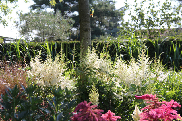 Stauden Im Garten Von Ehren Klassisch Garten Hamburg Von Garten Von Ehren