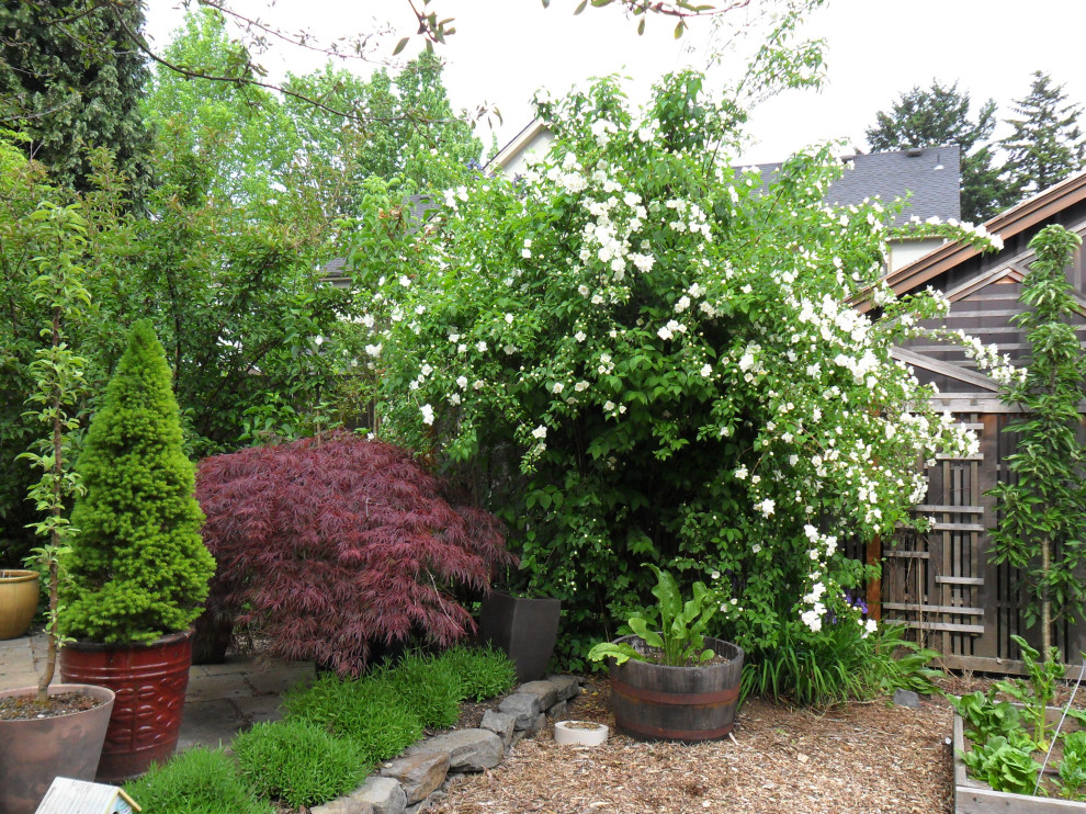 Idée de décoration pour un jardin potager arrière champêtre de taille moyenne et l'été avec une exposition ensoleillée, des pavés en pierre naturelle et une clôture en bois.
