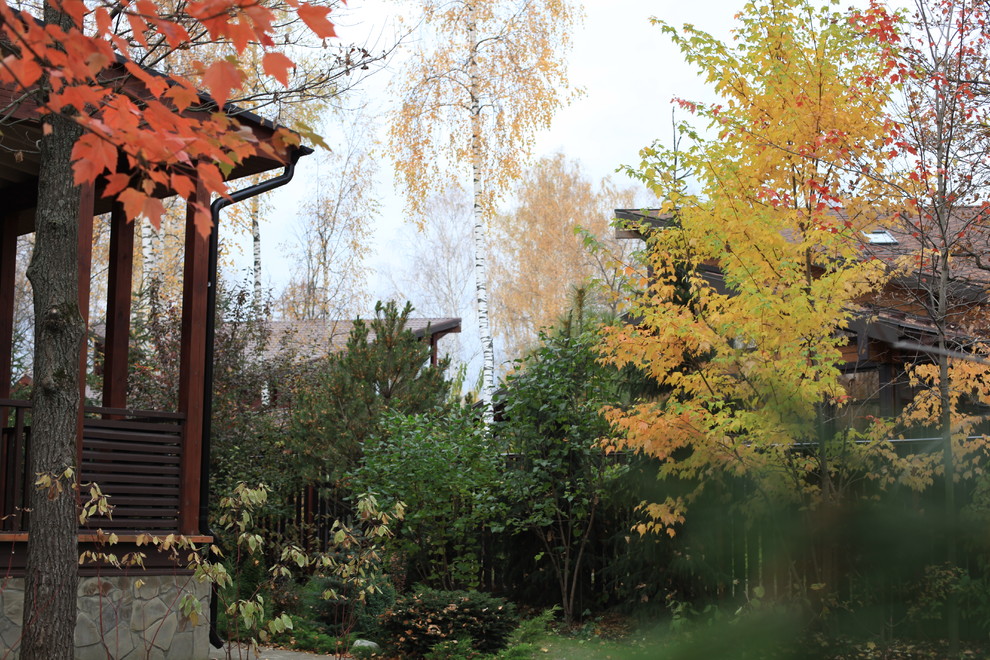 "Березовая роща". Сад в Чеховском районе Московской области, 10 соток.