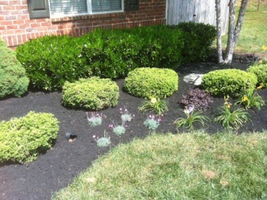 Photo of a mid-sized transitional full sun side yard landscaping for spring.