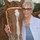 deedee_baldwin