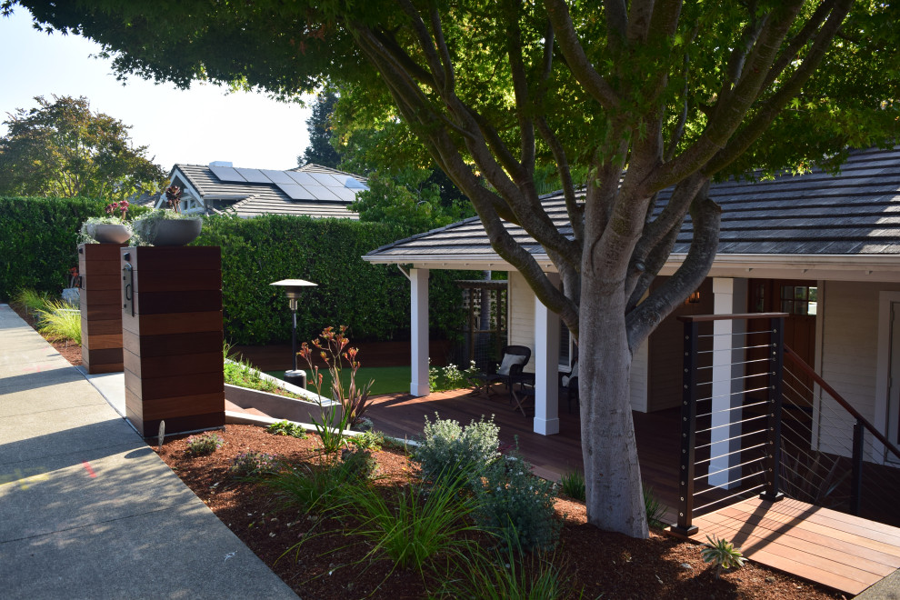 Curb Appeal and Front Yards