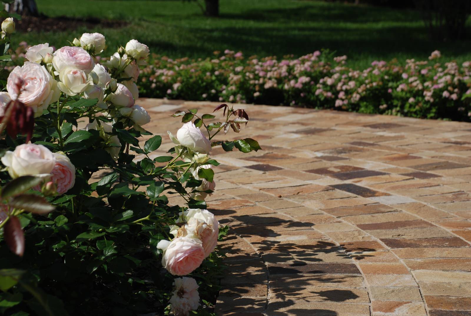 Сад в КП Миллениум Парк