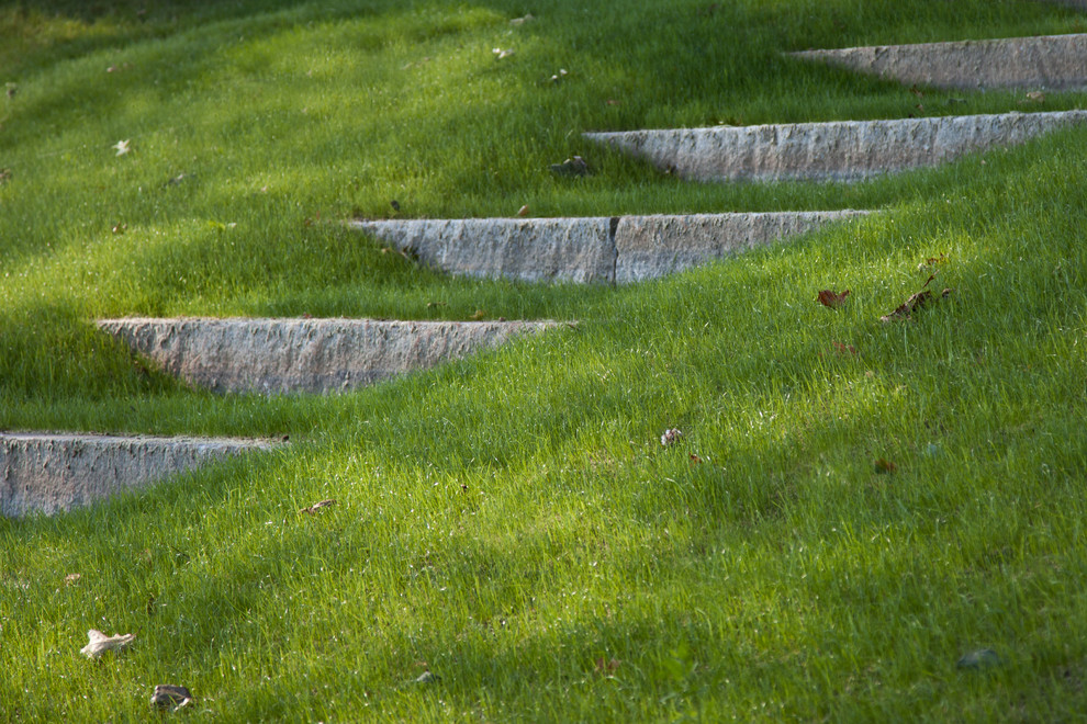 Immagine di un giardino contemporaneo