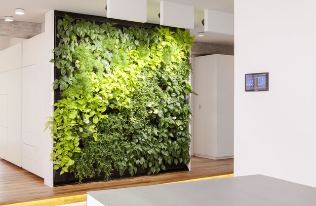 Loft - die grüne Wand - Modern - Flur - Stuttgart - von ...