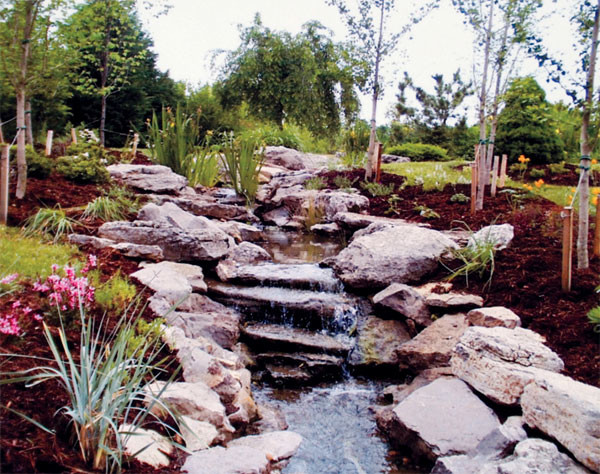 Mid-sized traditional backyard full sun formal garden in Denver with with pond and mulch.