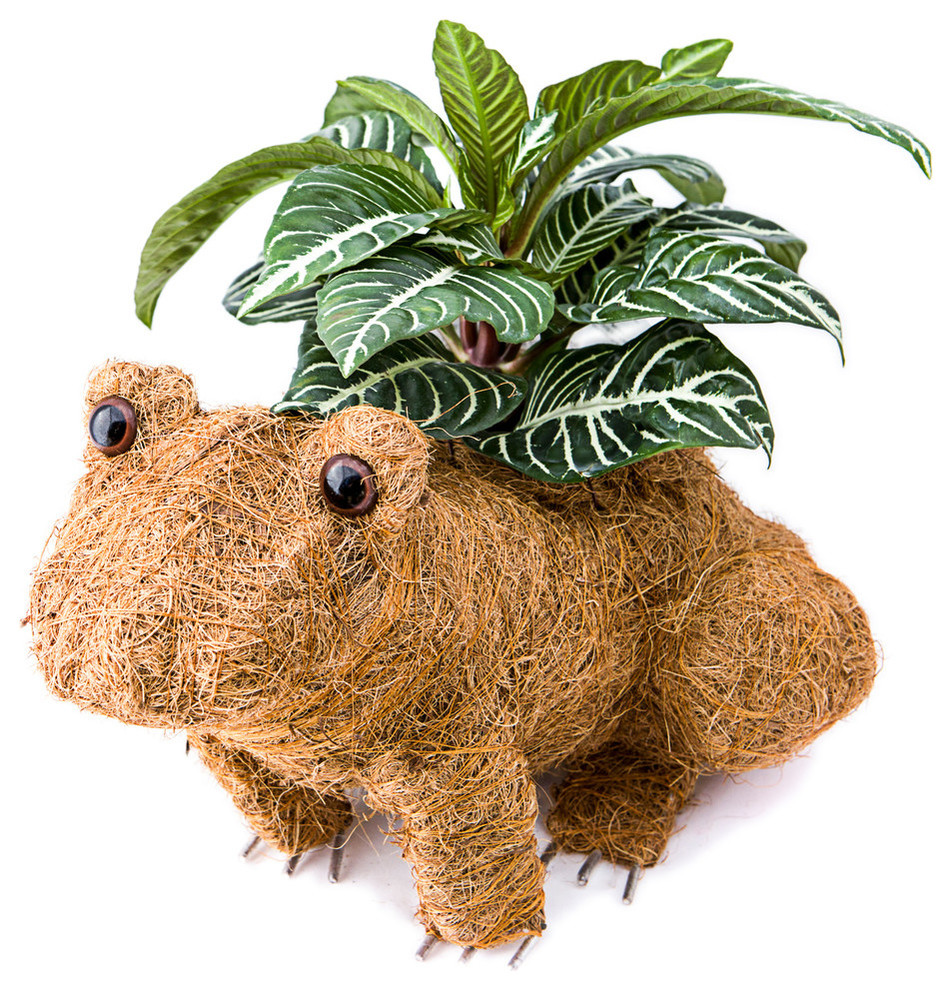 Animal Coco Planters Tropical Outdoor Pots And