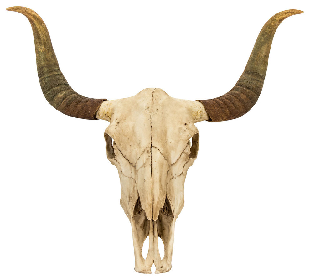 Bull Skull Wall Decor Southwestern Wall Sculptures By Hedgeapple
