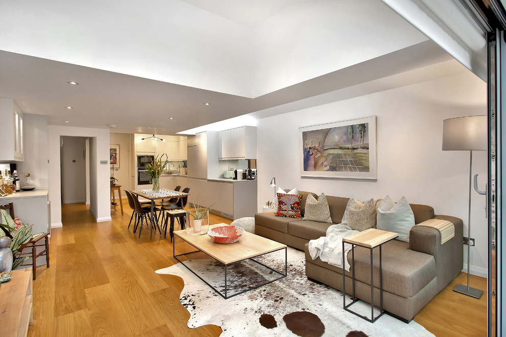 Beautiful Mid-Century Modern Kitchen Extension - Chiswick