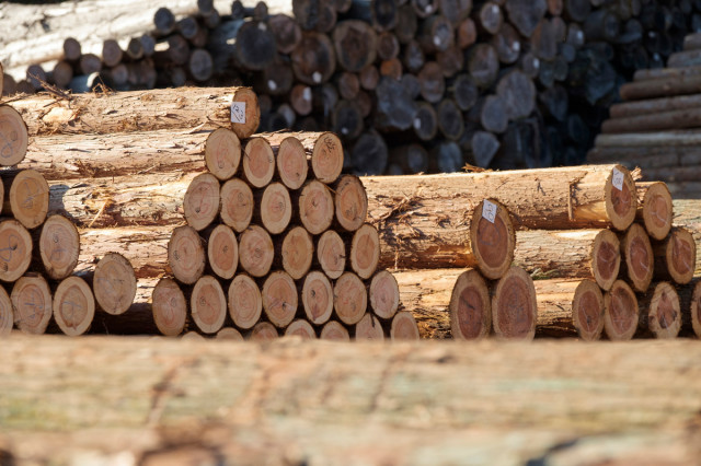 Ripple Effect: How Wood Shortage Affects Builds Around the World | Houzz NZ