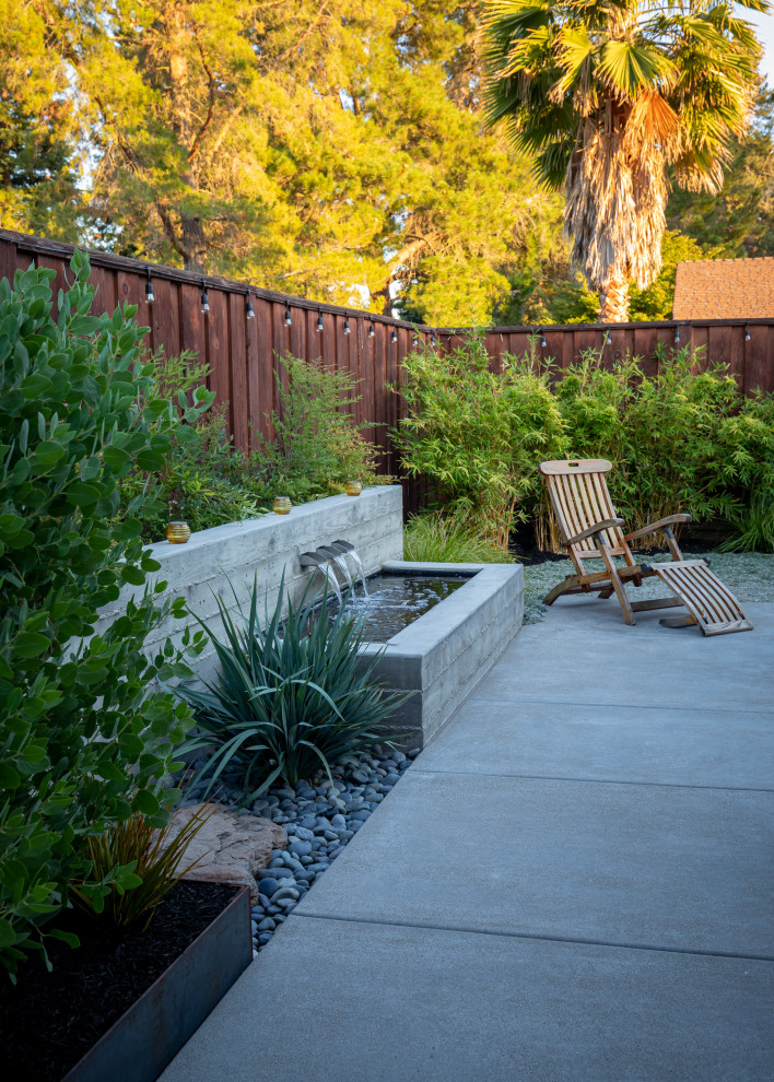 Ispirazione per un piccolo giardino xeriscape minimal esposto a mezz'ombra dietro casa in estate con fontane, pavimentazioni in cemento e recinzione in legno