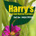Harry's Lawn and Garden Service