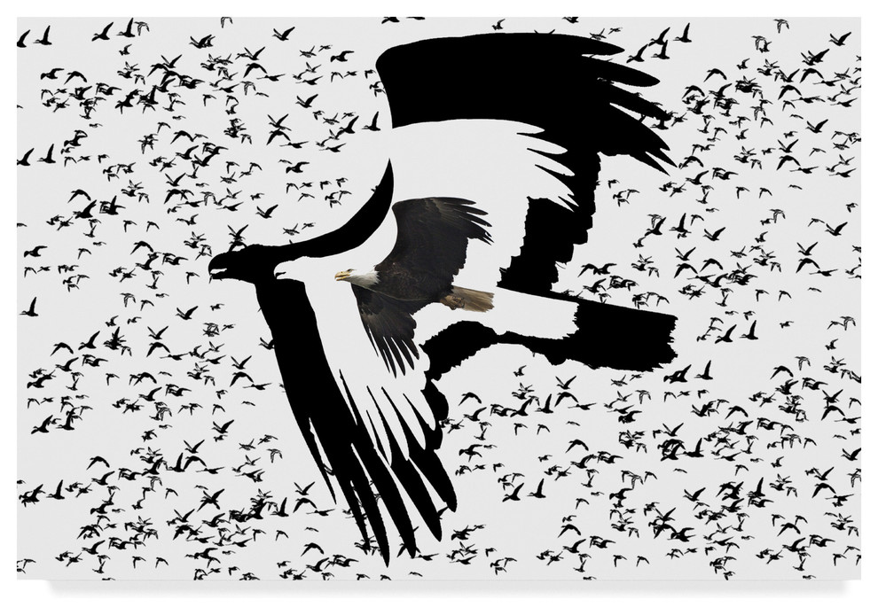 "The Black Birds 2" by Ata Alishahi, Canvas Art, 30"x47"