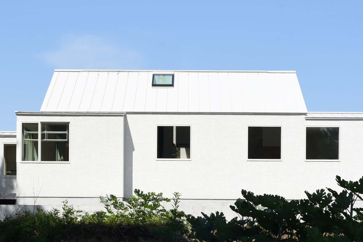 Case Study House #79 F House　Associate: Mimasis Design