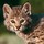Last commented by Jane Ericson