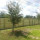 DJP Fence Contracting Services