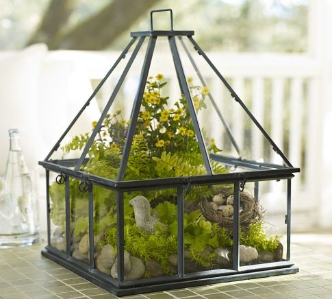 Tabletop Greenhouse