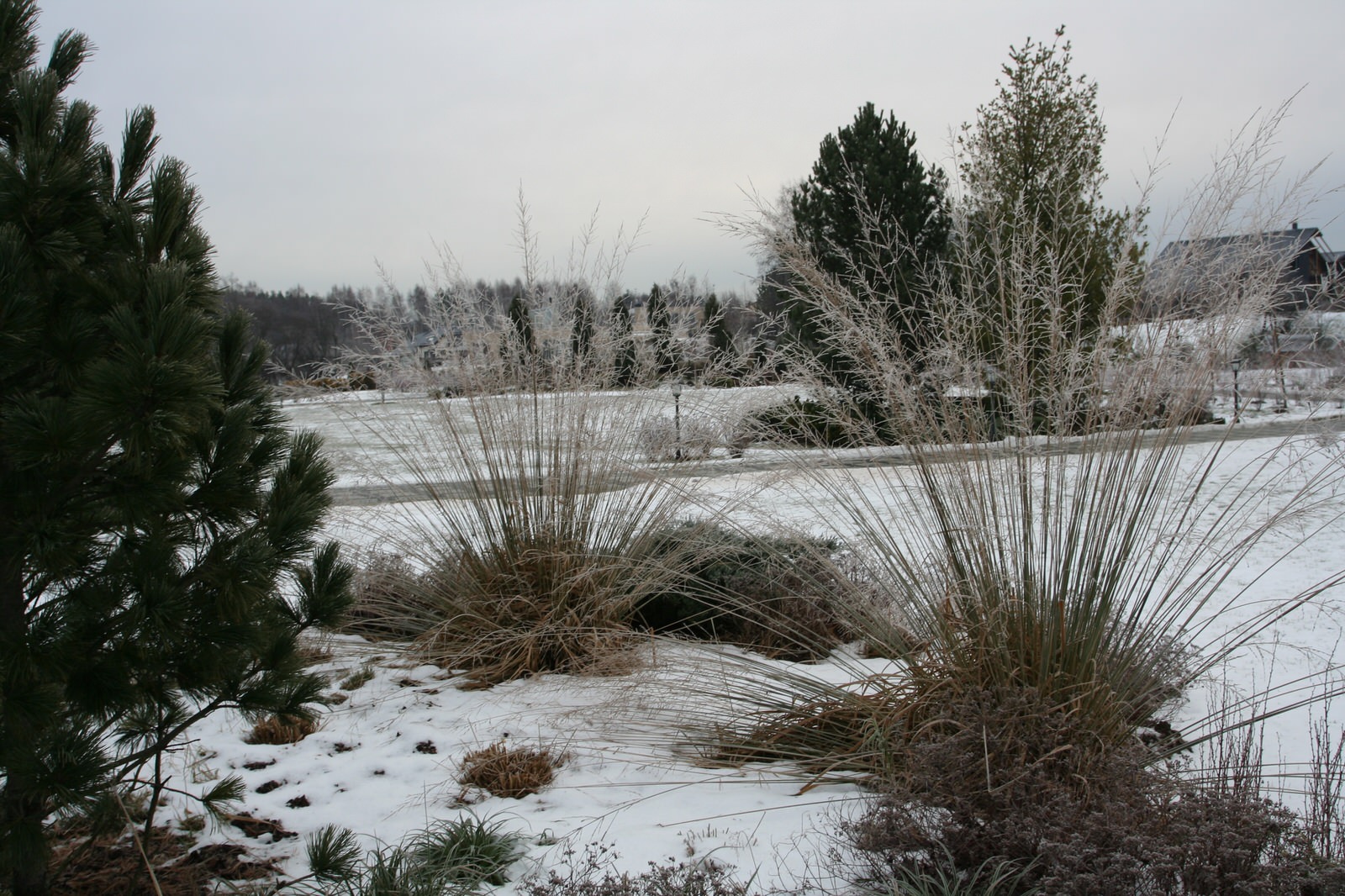 Репинские Усадьбы