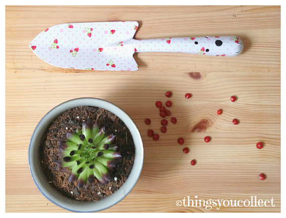 Sweet Pink Strawberry Garden Trowel by Things You Collect