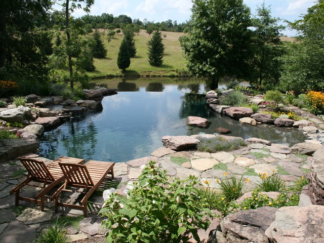 Water Features traditional-pool